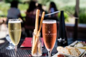 非洲女足全力备战下周对决