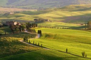 非洲女足全力备战下周对决