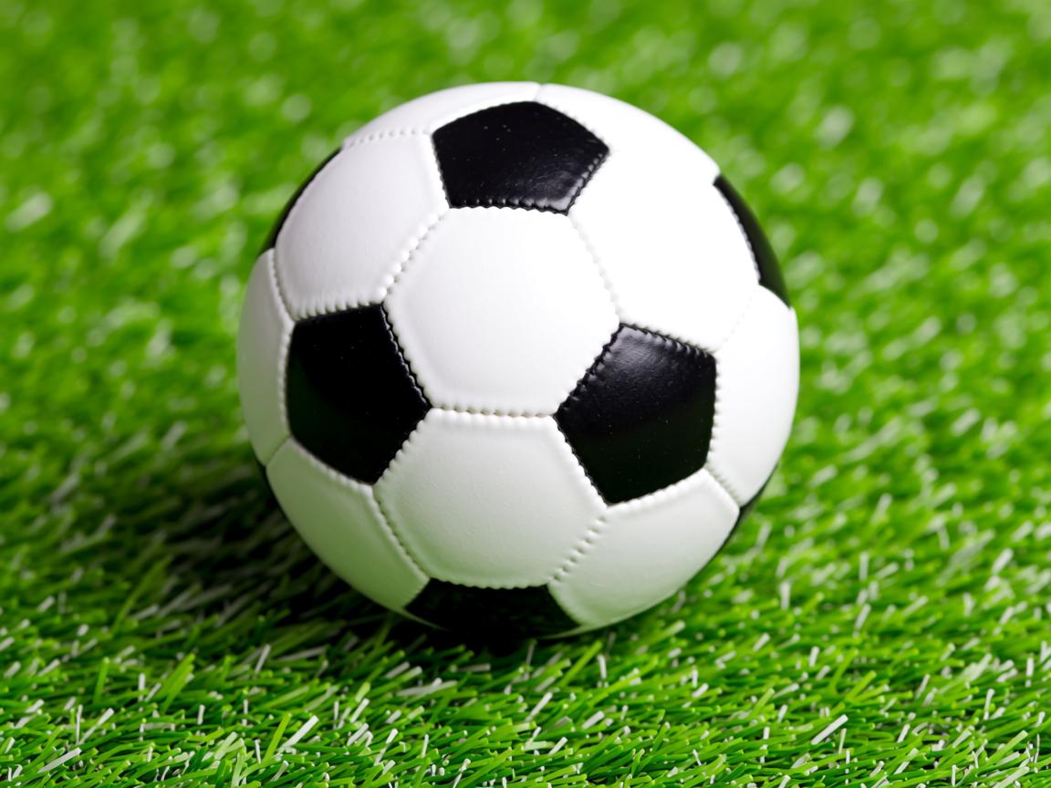 九游娱乐官方-中国体育科研报告公布 支撑备战体系优化,国家体育战略 第2张