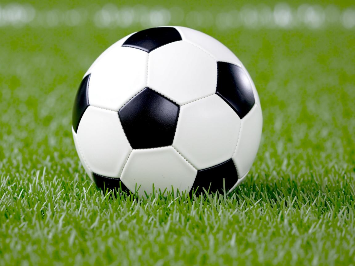 九游娱乐官网-中国男篮邀请外籍教练参与训练提升实战能力，中国男篮外教名单  第3张