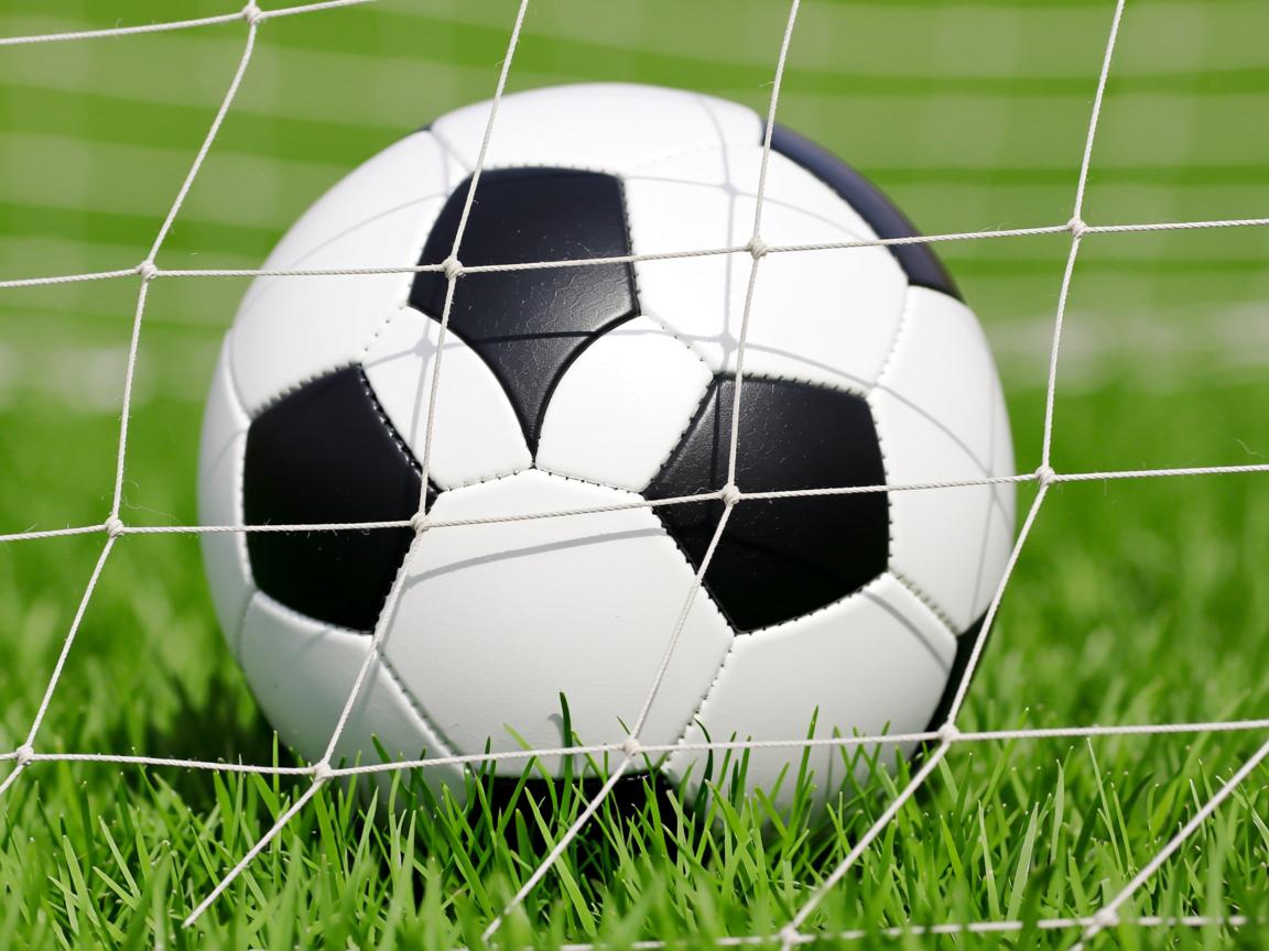 九游娱乐在线-中国跳伞队刷新亚洲自由落体纪录，中国跳伞基地在哪里  第2张