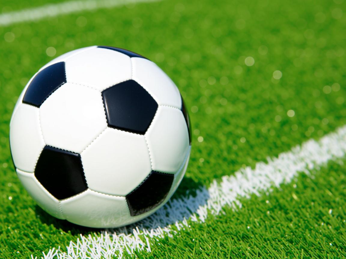 九游体育官网入口-德国男将蛙泳项目稳定输出，德国泳装比赛  第2张