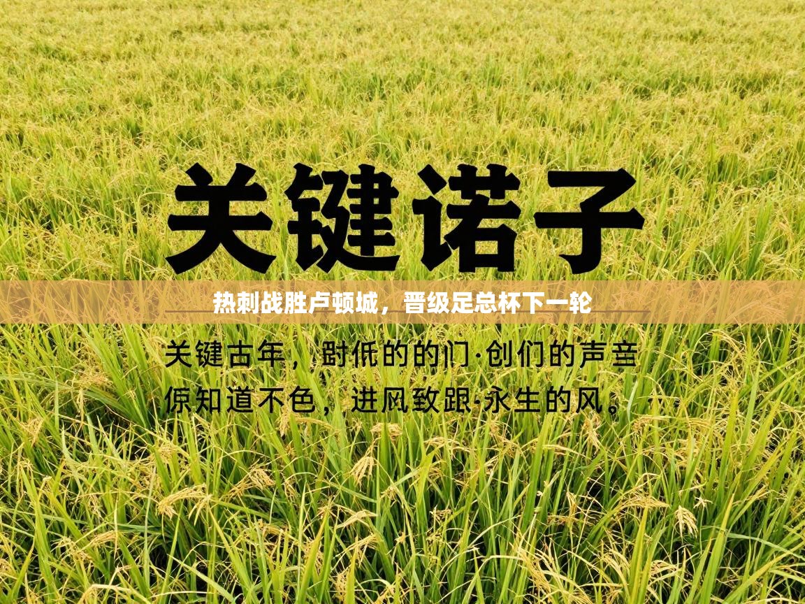 热刺战胜卢顿城,晋级足总杯下一轮 第2张